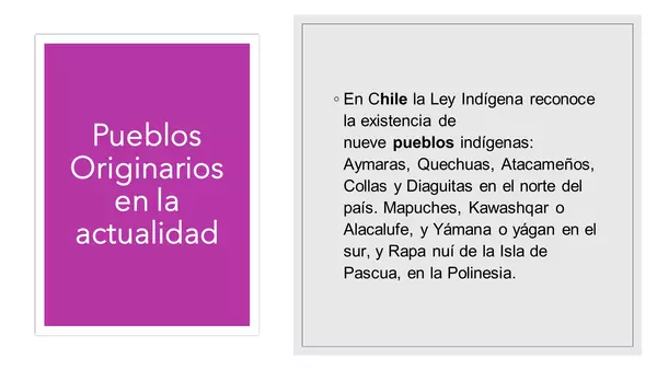 Dia de los pueblos originarios Chile