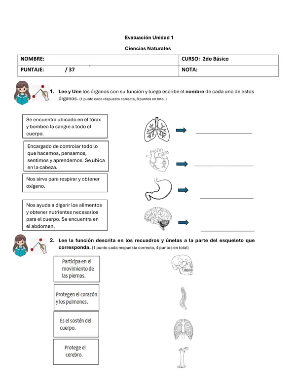 Evaluación Unidad 1 segundo básico