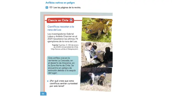 Clase 7 Lección 3 Unidad 2 "Anfibios nativos en peligro" 2° Básico