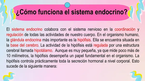 PPT - Sistema endocrino 