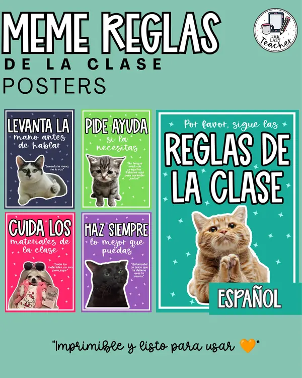 POSTERS MEME - DECORACIÓN SALA DE CLASES