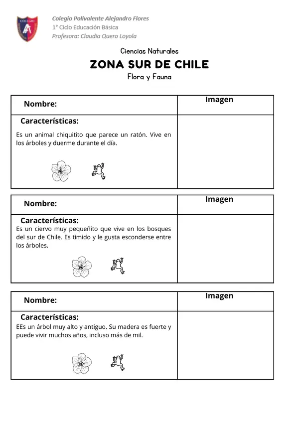 Diccionario de flora y fauna zona sur