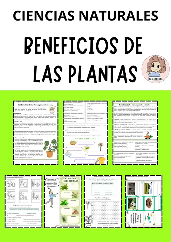 Beneficios de las Plantas | Ciencias Naturales