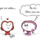 Maria Jose Armenta Cruz - @maria.jose.armenta.cr