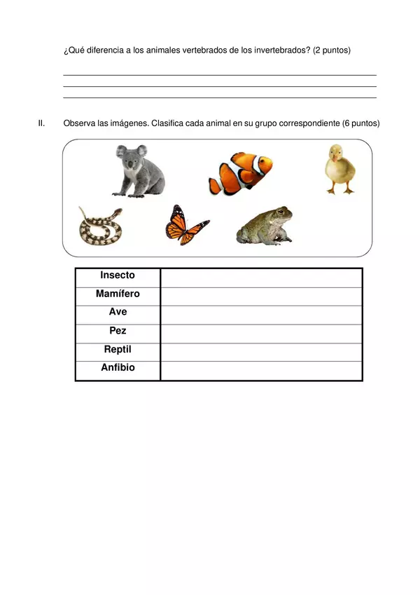 Evaluación - Animales vertebrados e invertebrados