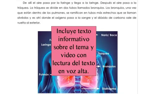 ¿Cuál sistema del cuerpo?