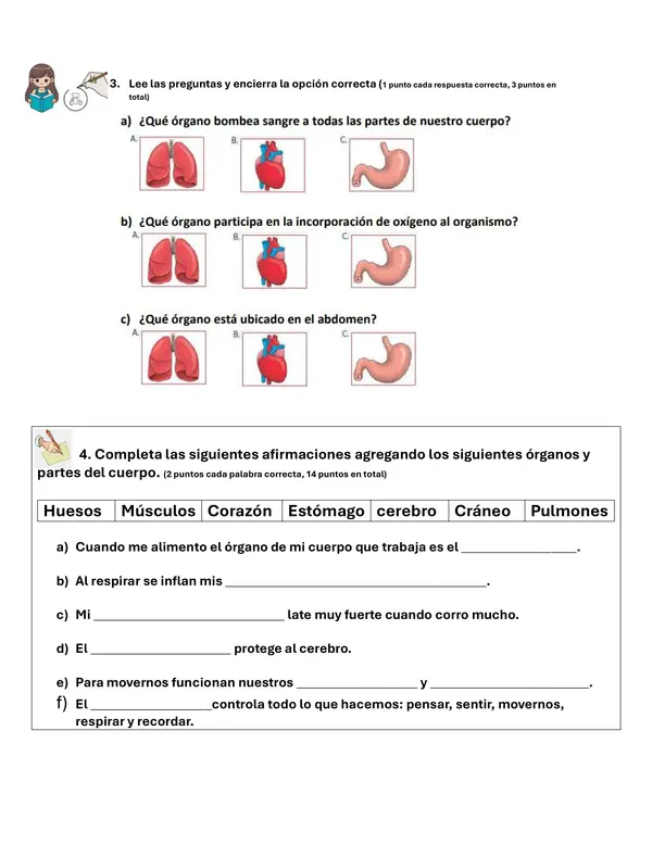 Evaluación Unidad 1 segundo básico