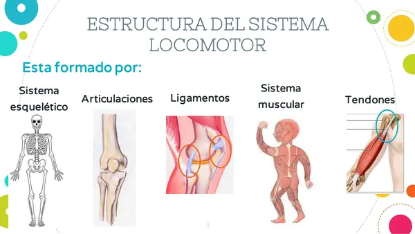 Nuestro cuerpo en movimiento