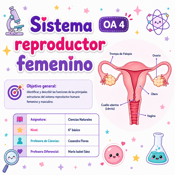 Clase sistema reproductor femenino: contiene ruta de aprendizaje, expectativas de la clase, objetivo, identificación y descripción de órganos, además la metacognición