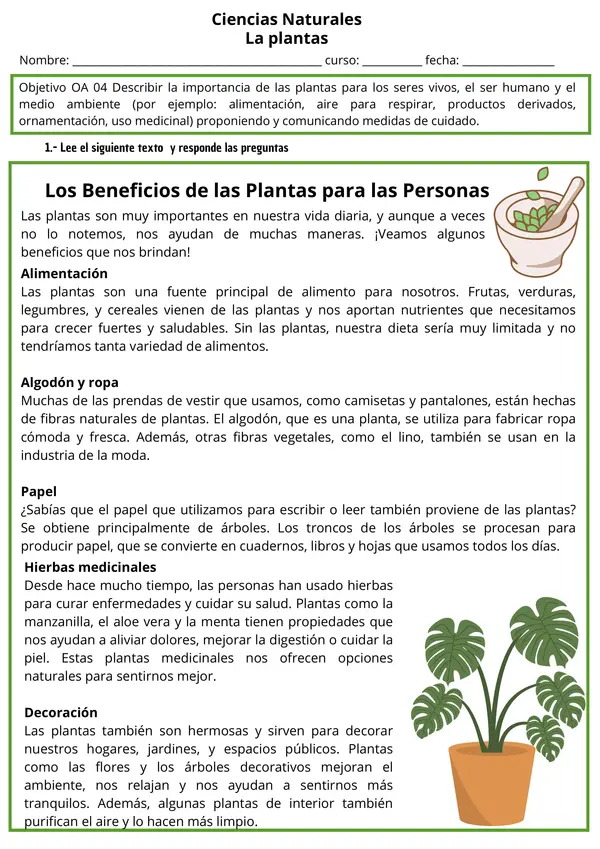 Beneficios de las Plantas | Ciencias Naturales