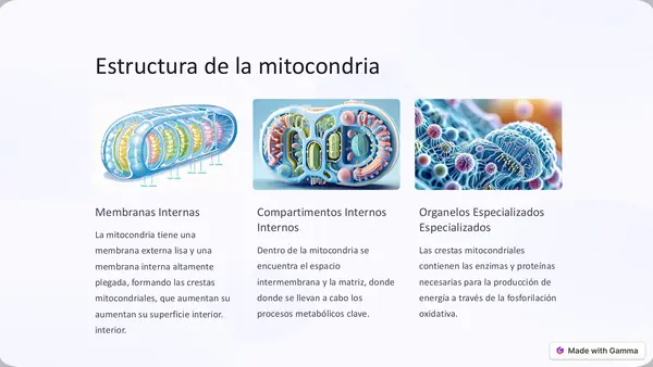 Las mitocondrias