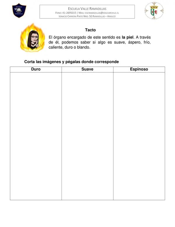 Guía Sentidos 1° Básico Ciencias Naturales