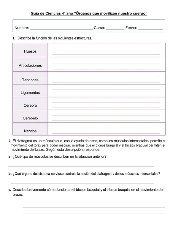 Guía de ciencias 4°año 