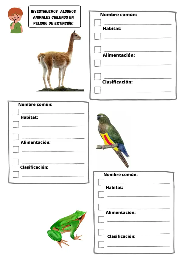 Animales en Peligro de Extinción Fauna chilena | 2° - 6° Básico | Ciencias Naturales