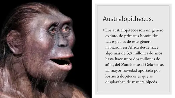 La Evolución Humana y la Era Paleolítica