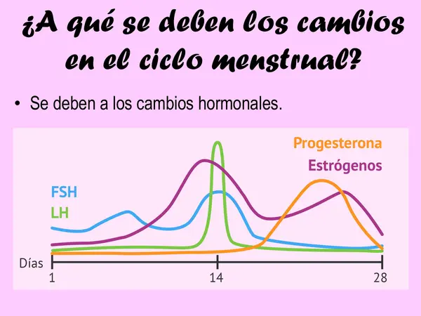 PPT - Ciclo menstrual y embarazo 