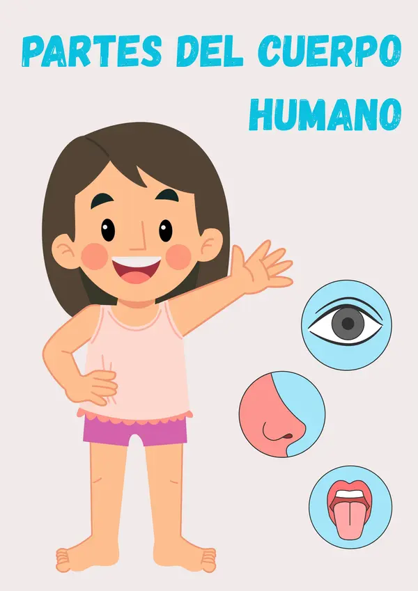 Partes del cuerpo humano 