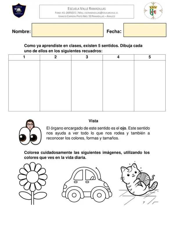 Guía Sentidos 1° Básico Ciencias Naturales
