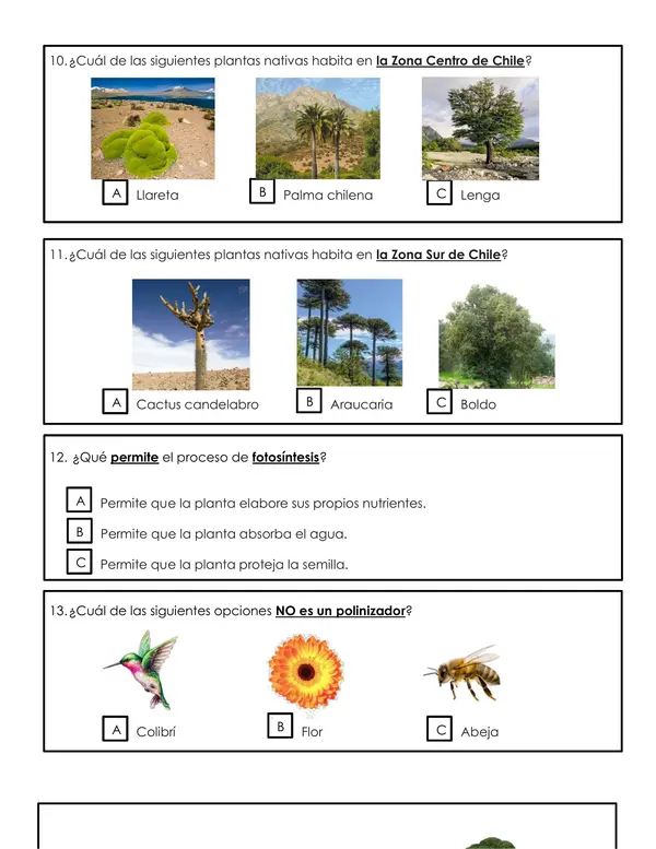 Prueba ciencias naturales