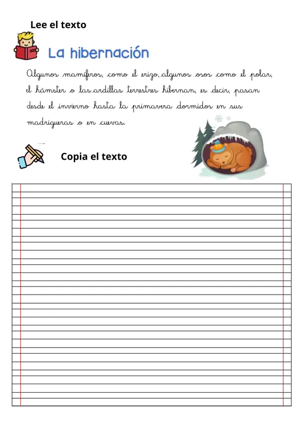 CUADERNILLO DE LECTOESCRITURA