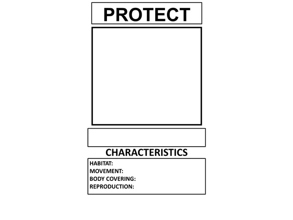 Protect the animals