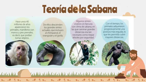 Unidad  1: Los Orígenes de la Humanidad