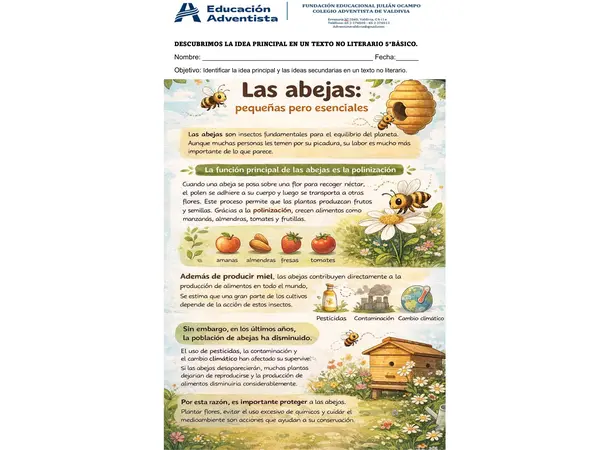 descubrir idea principal y secundaria de un texto