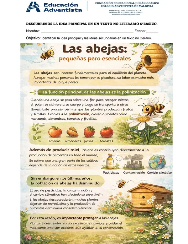 descubrir idea principal y secundaria de un texto