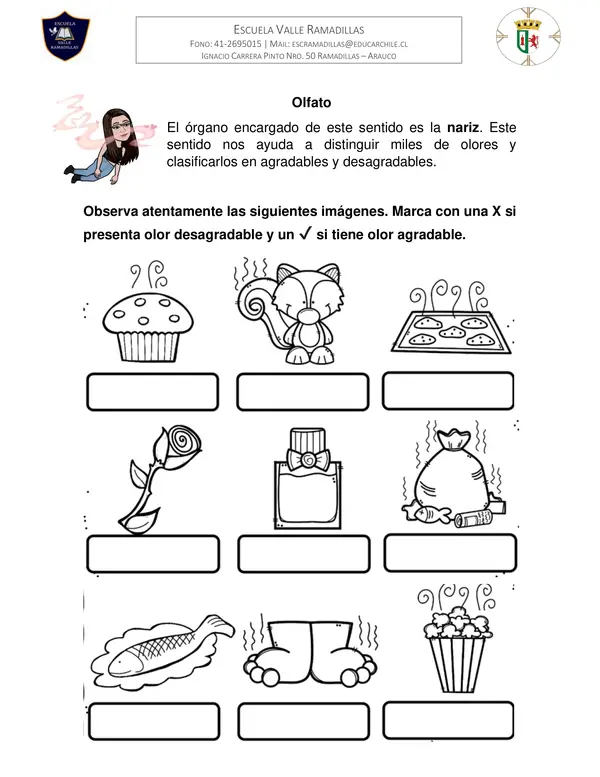 Guía Sentidos 1° Básico Ciencias Naturales