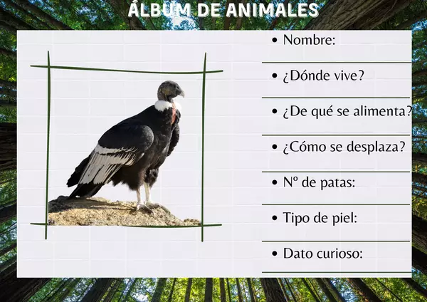 Álbum de animales.