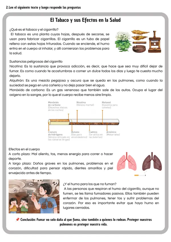 Tabaquismo, Ciencias Naturales 5° básico