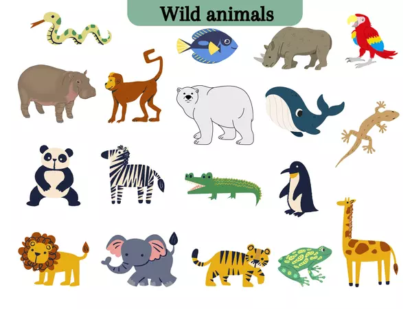 Wild animals label