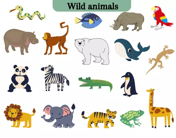 Wild animals label