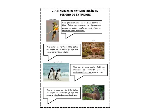 Animales nativos en peligro de extinción