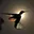 Falon Sobarzo - @falon.sobarzo