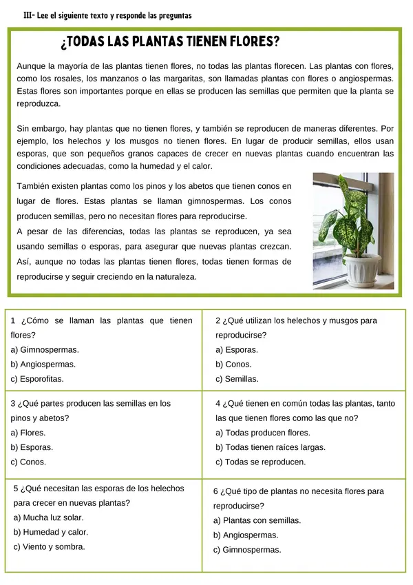 Las plantas | Germinación Ciencias Naturales