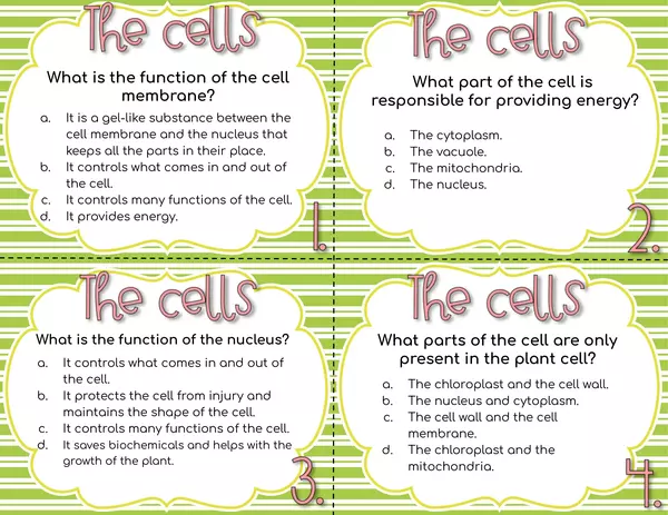 Parts of the cell