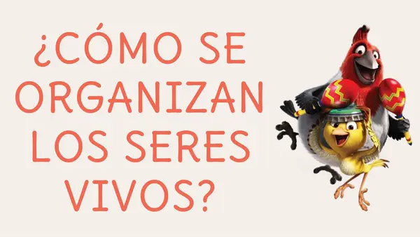 Organización de las células
