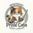 Catalina Cares - @catalinamelia