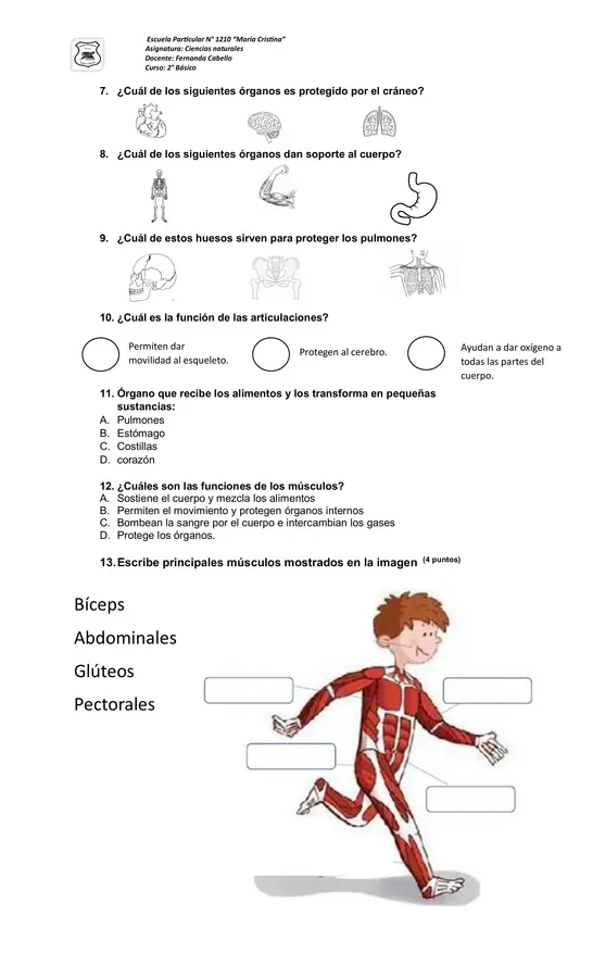 Evaluación Ciencias Naturales