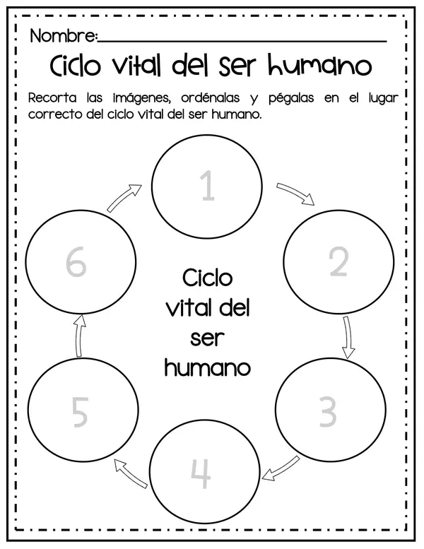 CICLO VITAL DEL SER HUMANO