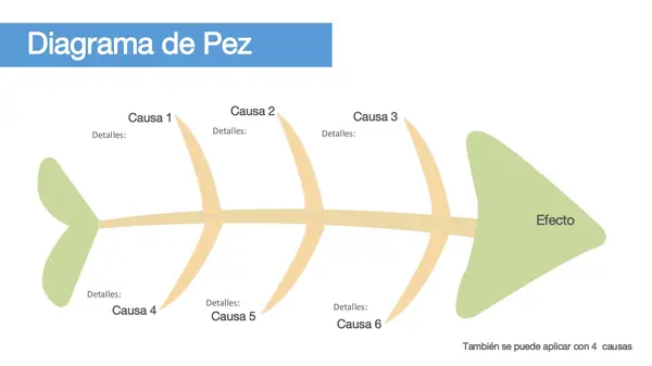 Estrategias de Evaluación - Nivel Básica - Educación- Actividades