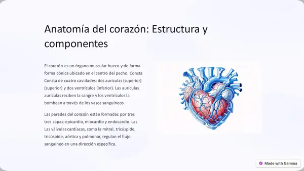 El corazón en el cuerpo humano