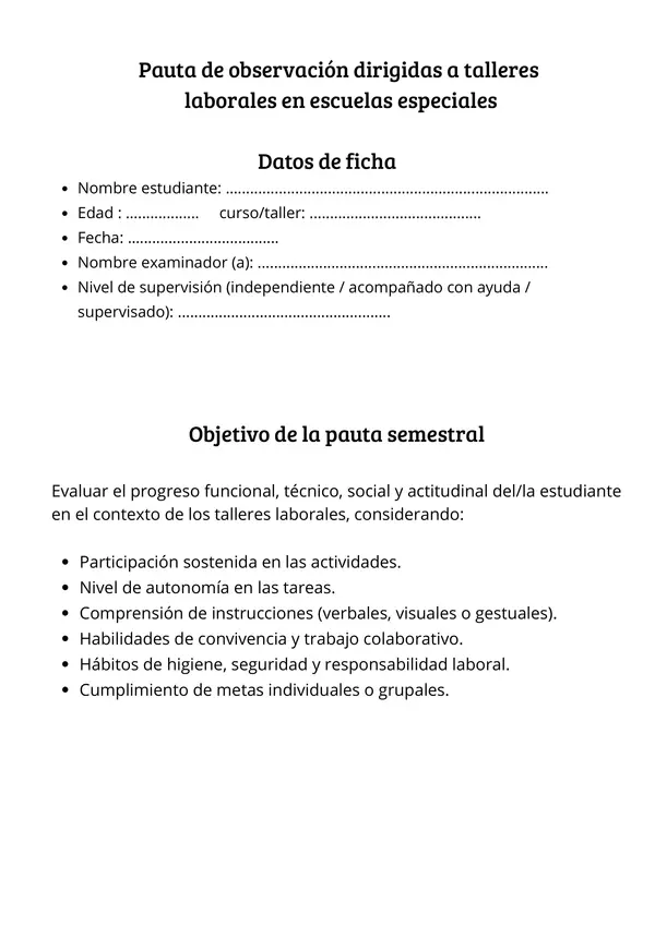Pauta de observación semestral – Talleres Laborales