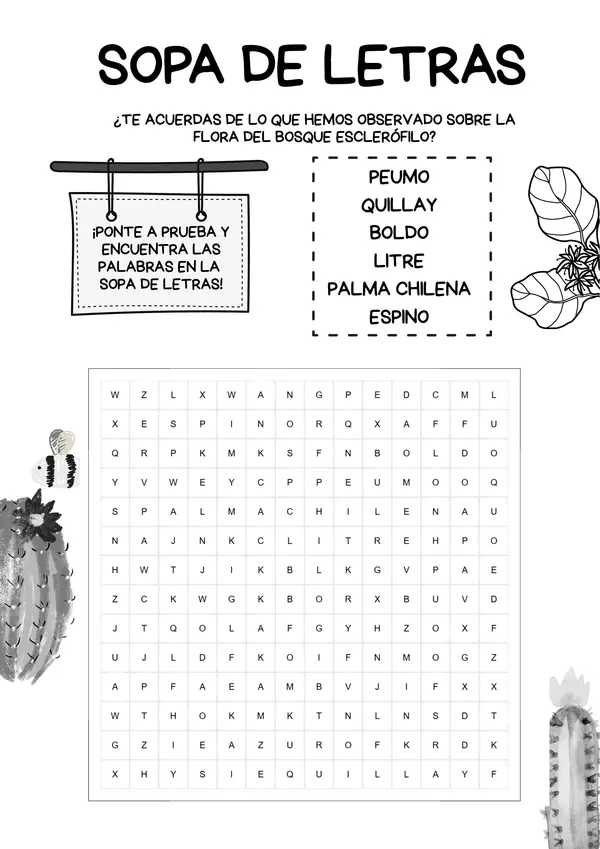 Animales y plantas de Chile: Proyecto bosque esclerófilo