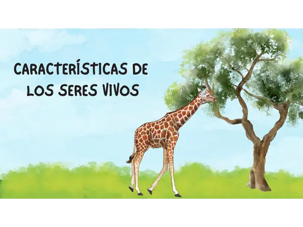 Características de los seres vivos