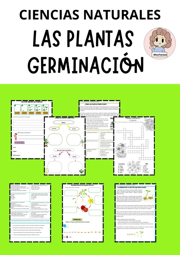 Las plantas | Germinación Ciencias Naturales