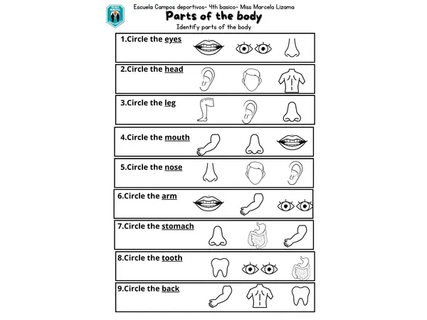 partes del cuerpo en inglés