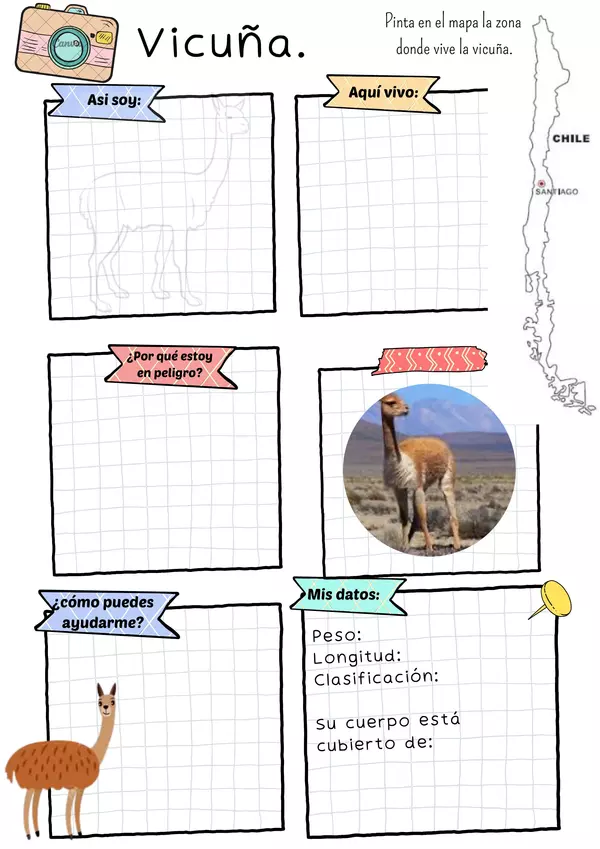 Animales en peligro de extinción: la vicuña.