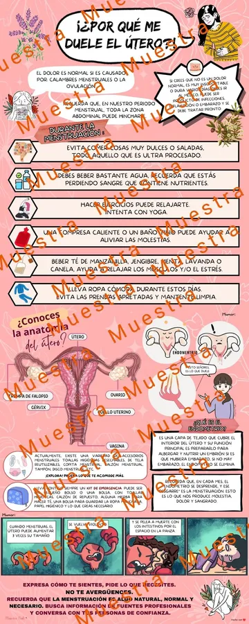 Infografía para pasillo escolar: Menstruación. Por qué me duele el útero.